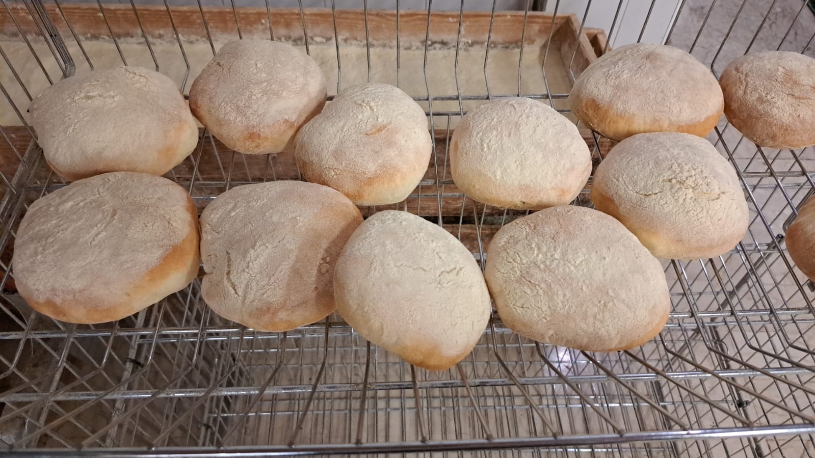 Cabbuci di rimacinato di grano duro siciliano con L.M.